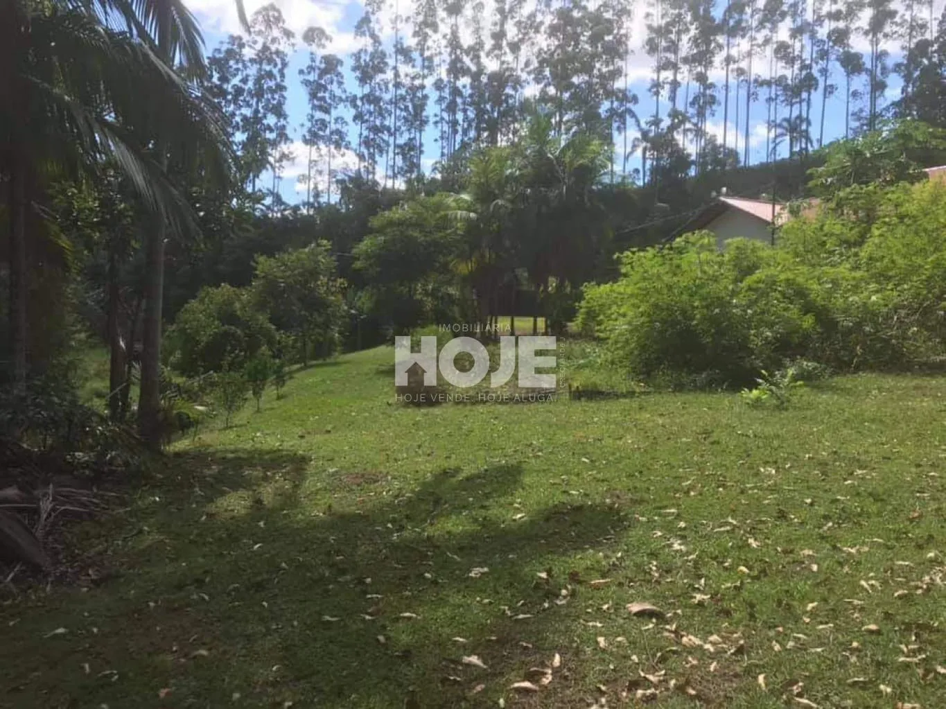 Sítio a venda na cidade de Apiúna - SC. — foto 7