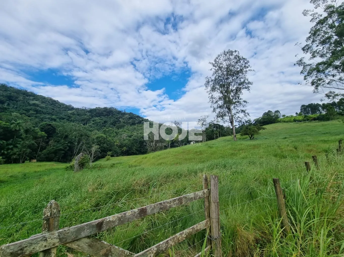 Terreno rural e ou mini sítio no bairro Polaquia, em Indaial — foto 3
