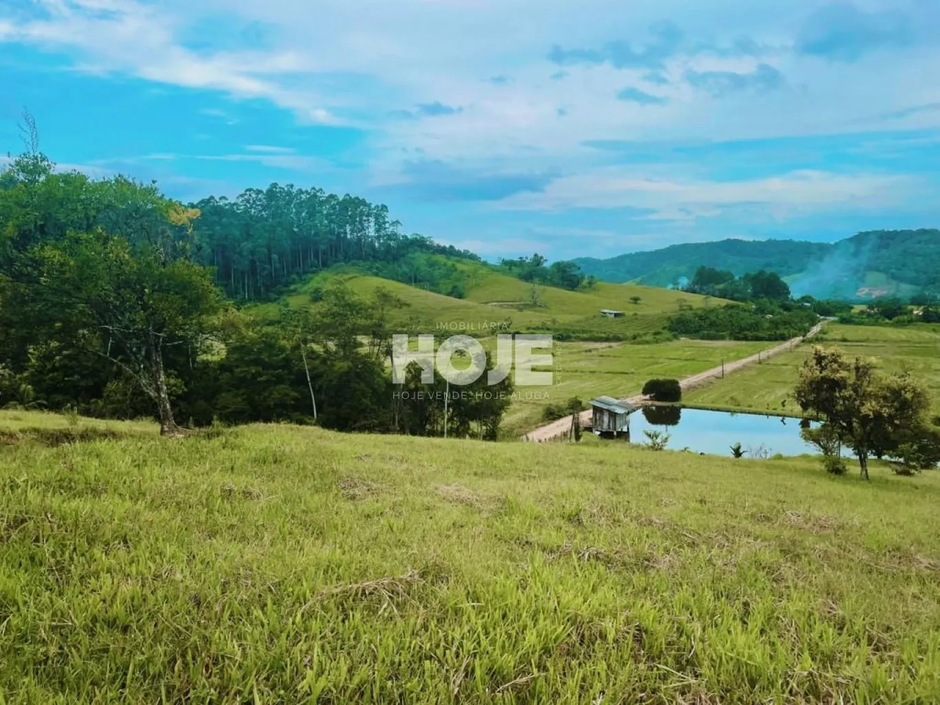 Sítio a Venda na Divisa Indaial e Rodeio com mais de 35.000 m - foto 1