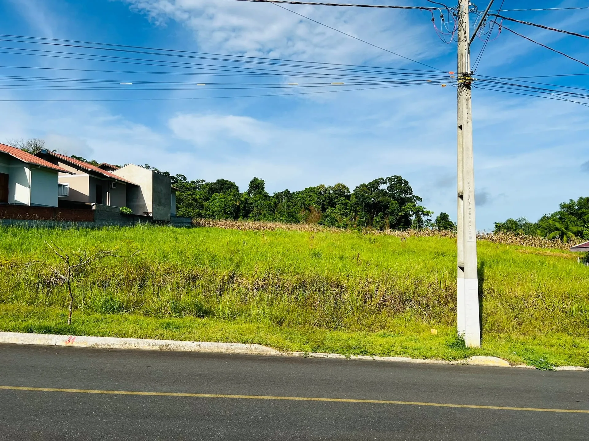 LOTE EXCLUSIVO RH43 — foto 3