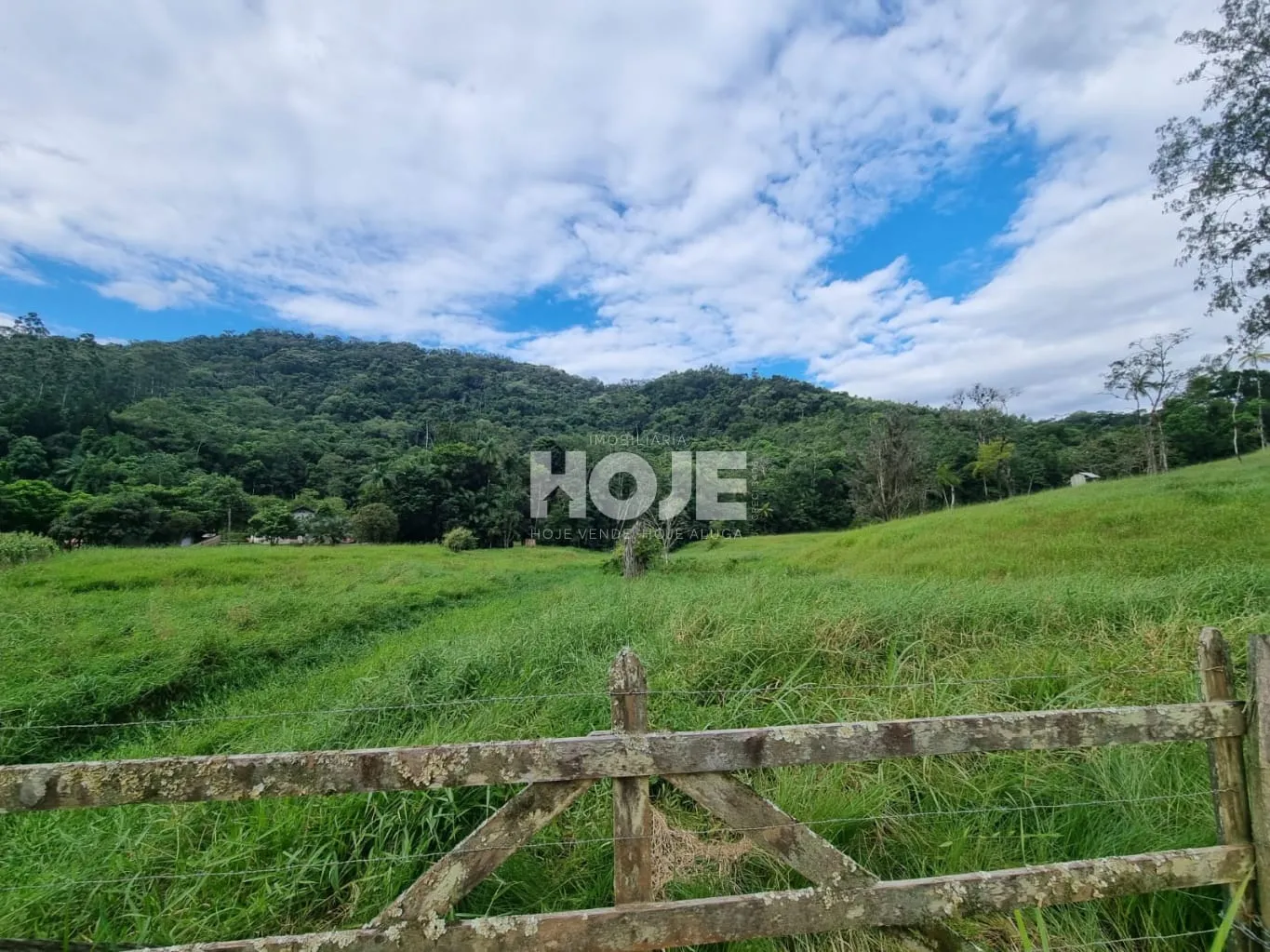 Terreno rural e ou mini sítio no bairro Polaquia, em Indaial — foto 2