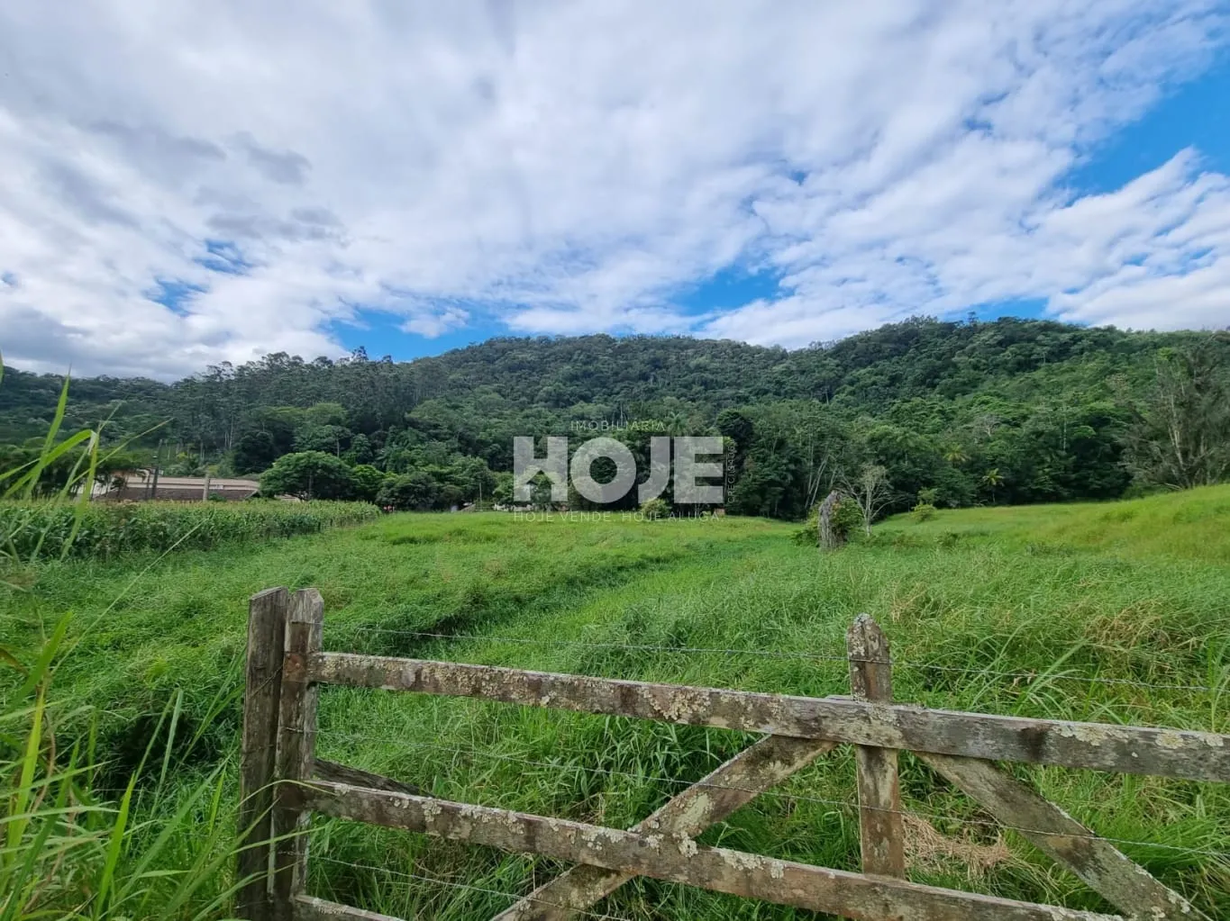 Terreno rural e ou mini sítio no bairro Polaquia, em Indaial — foto 4
