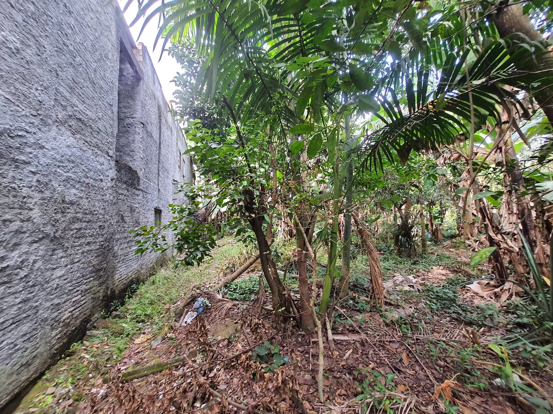 Terreno à venda, Estados, Indaial, SC — foto 4