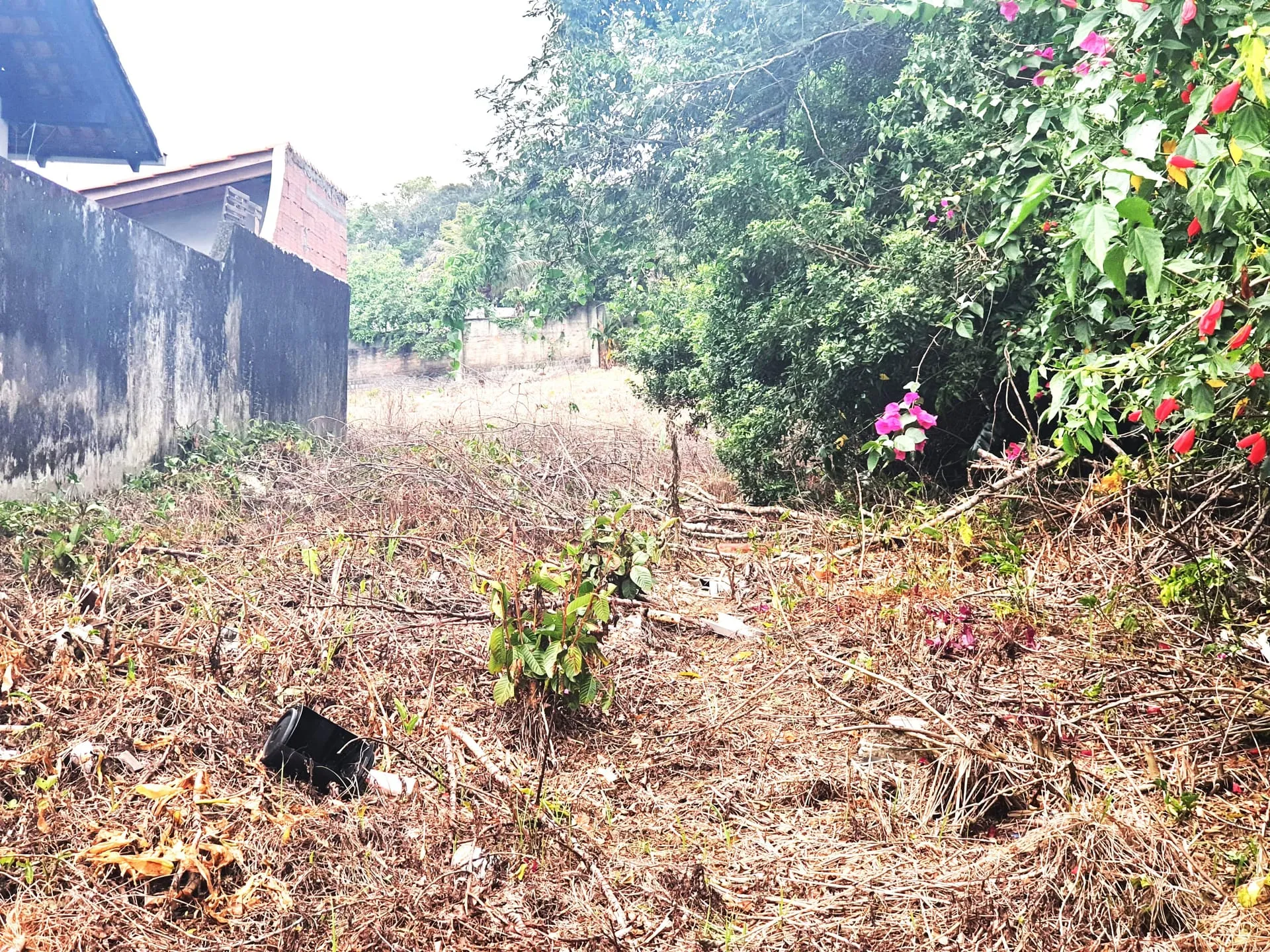 Terreno à venda, Tapajós, Indaial, SC — foto 7
