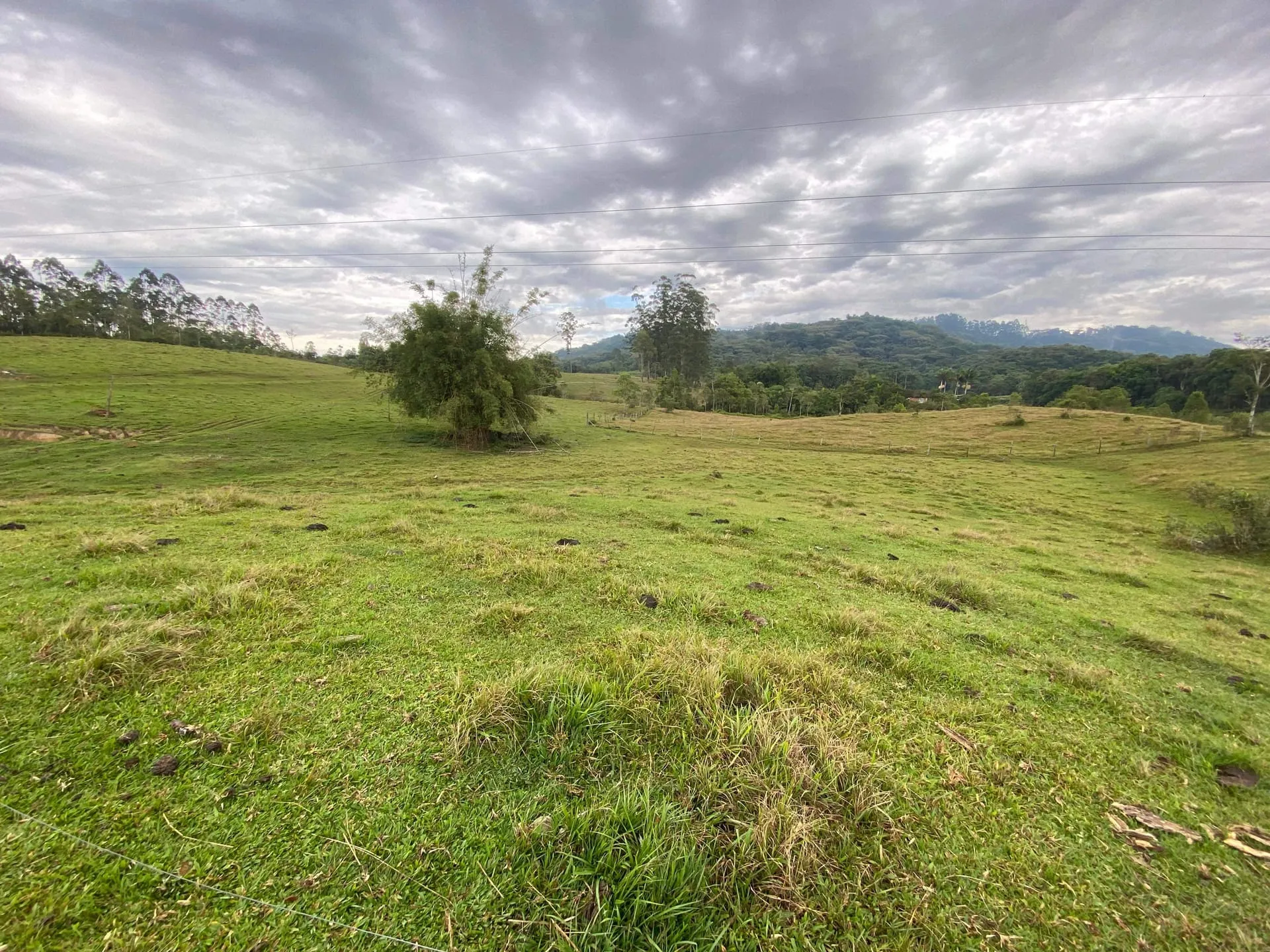 Terreno à venda, Mulde, Indaial, SC - foto 1