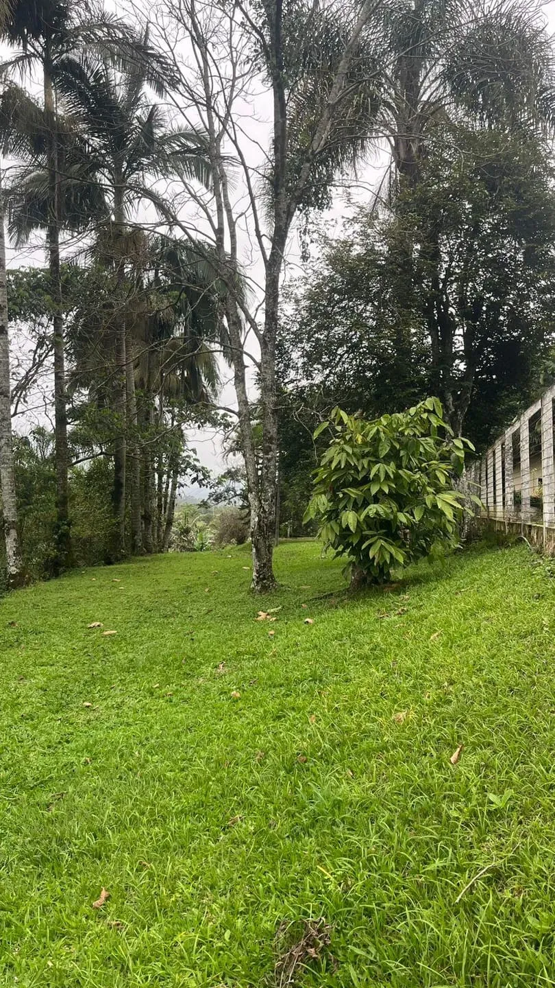 Chácara à venda, Rio Morto, Indaial, SC — foto 5