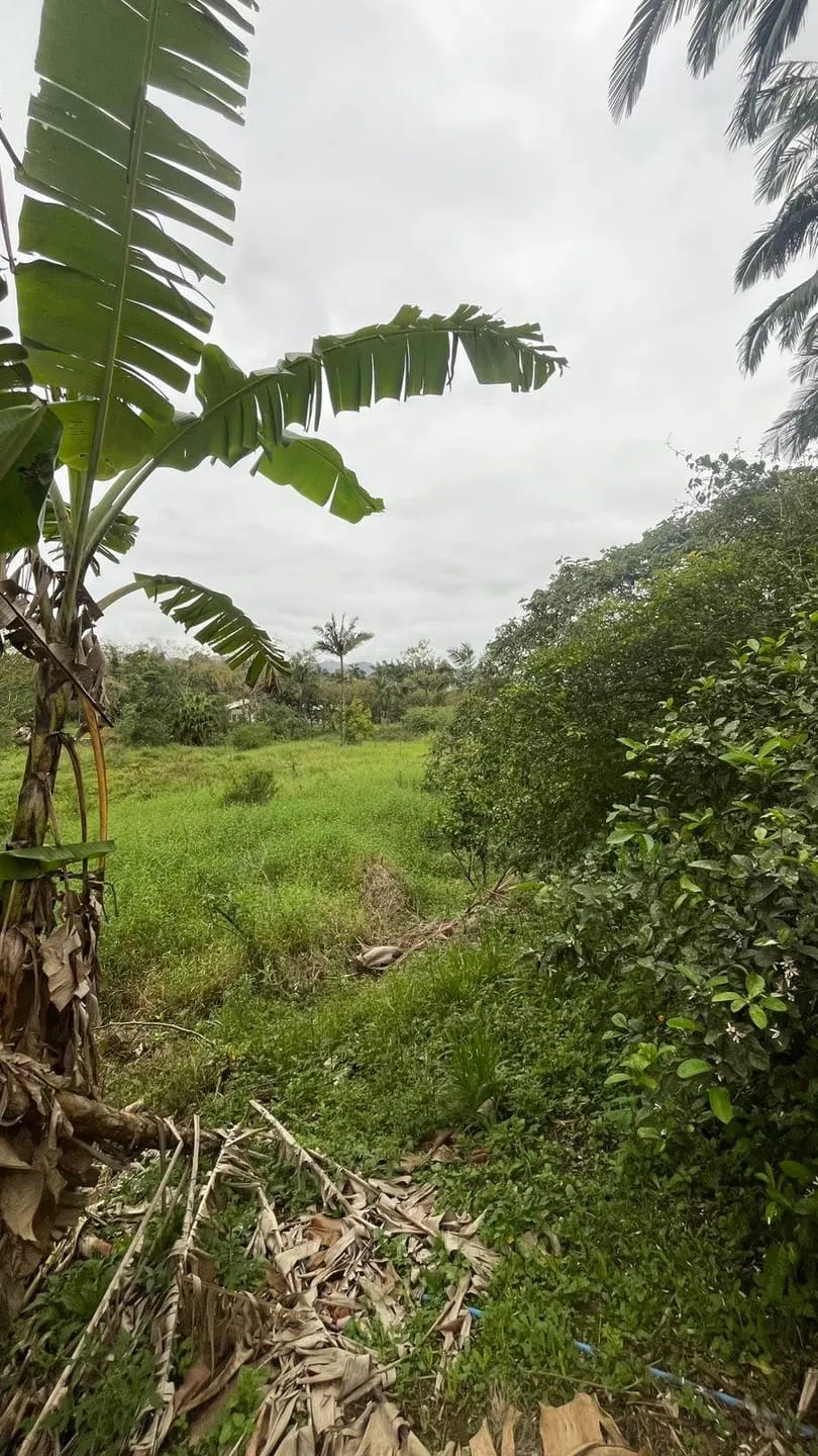 à venda, Rio Morto, Indaial, SC — foto 2