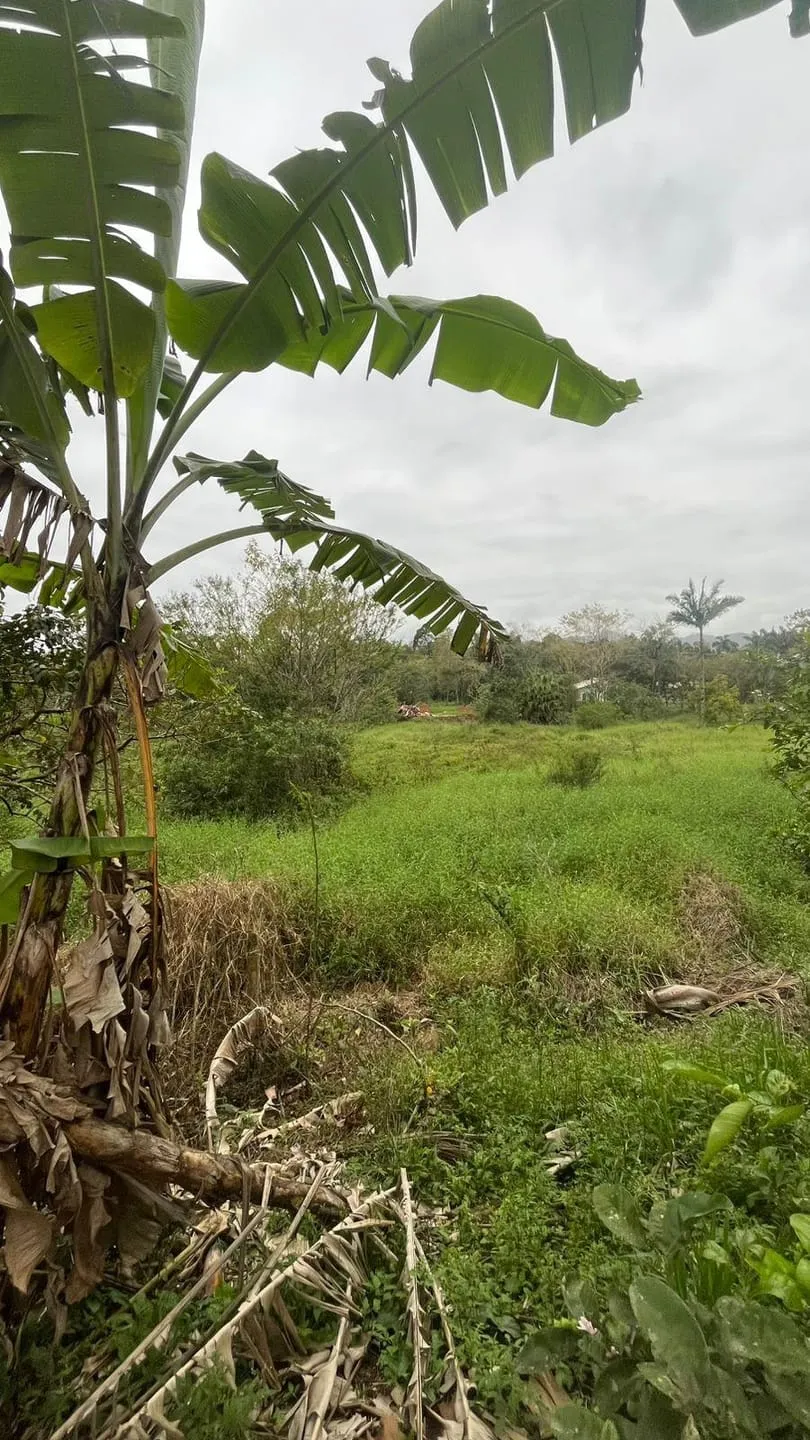 à venda, Rio Morto, Indaial, SC — foto 3