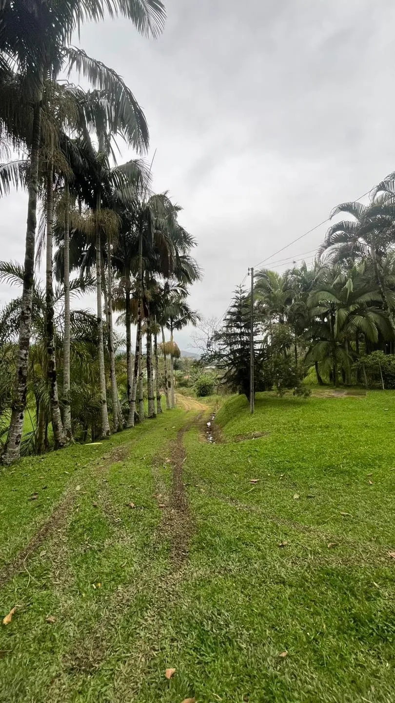 à venda, Rio Morto, Indaial, SC — foto 4