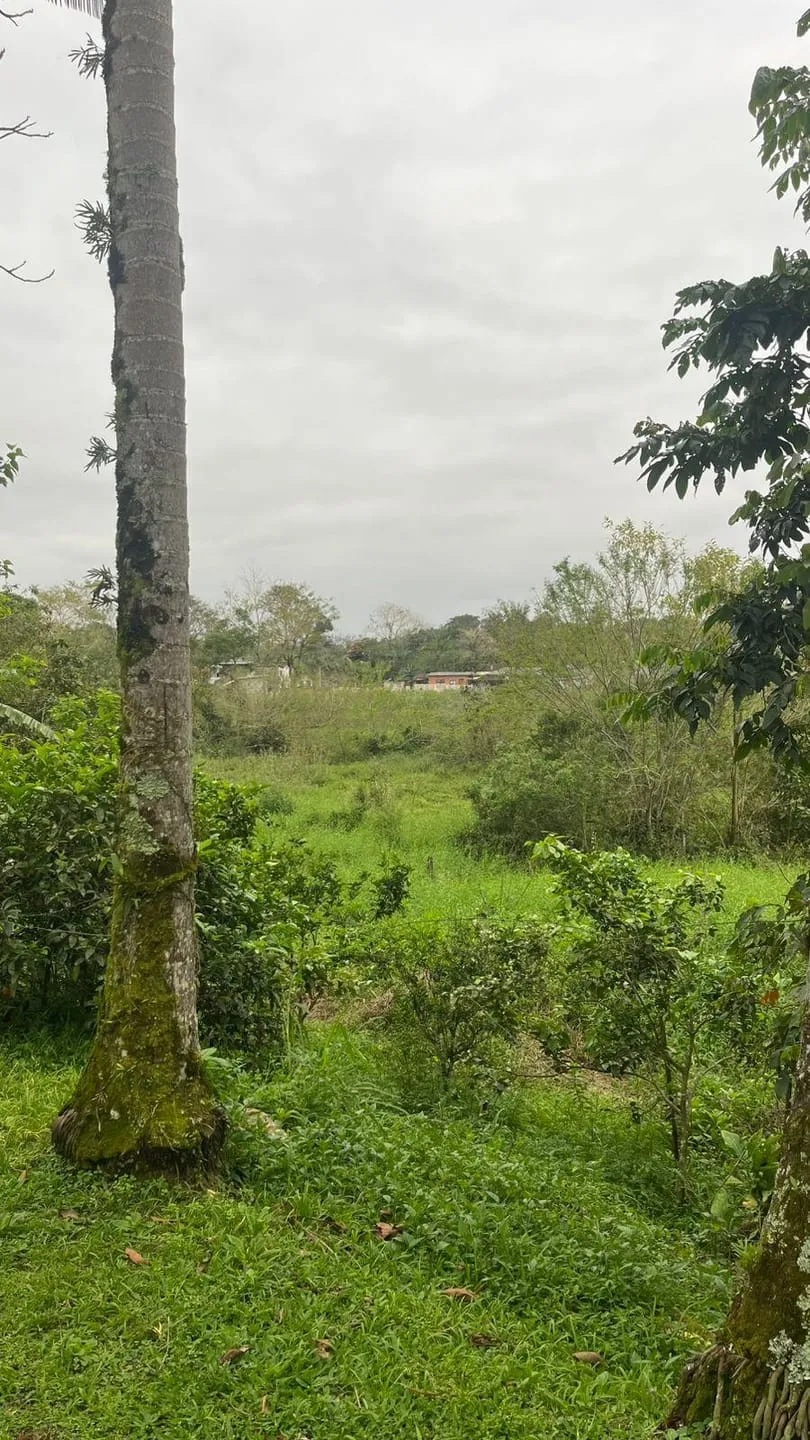 à venda, Rio Morto, Indaial, SC — foto 5