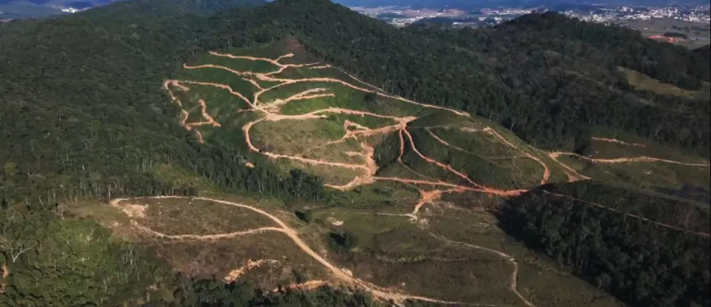 TERRENO 100 HECTARES - GASPAR - foto 1