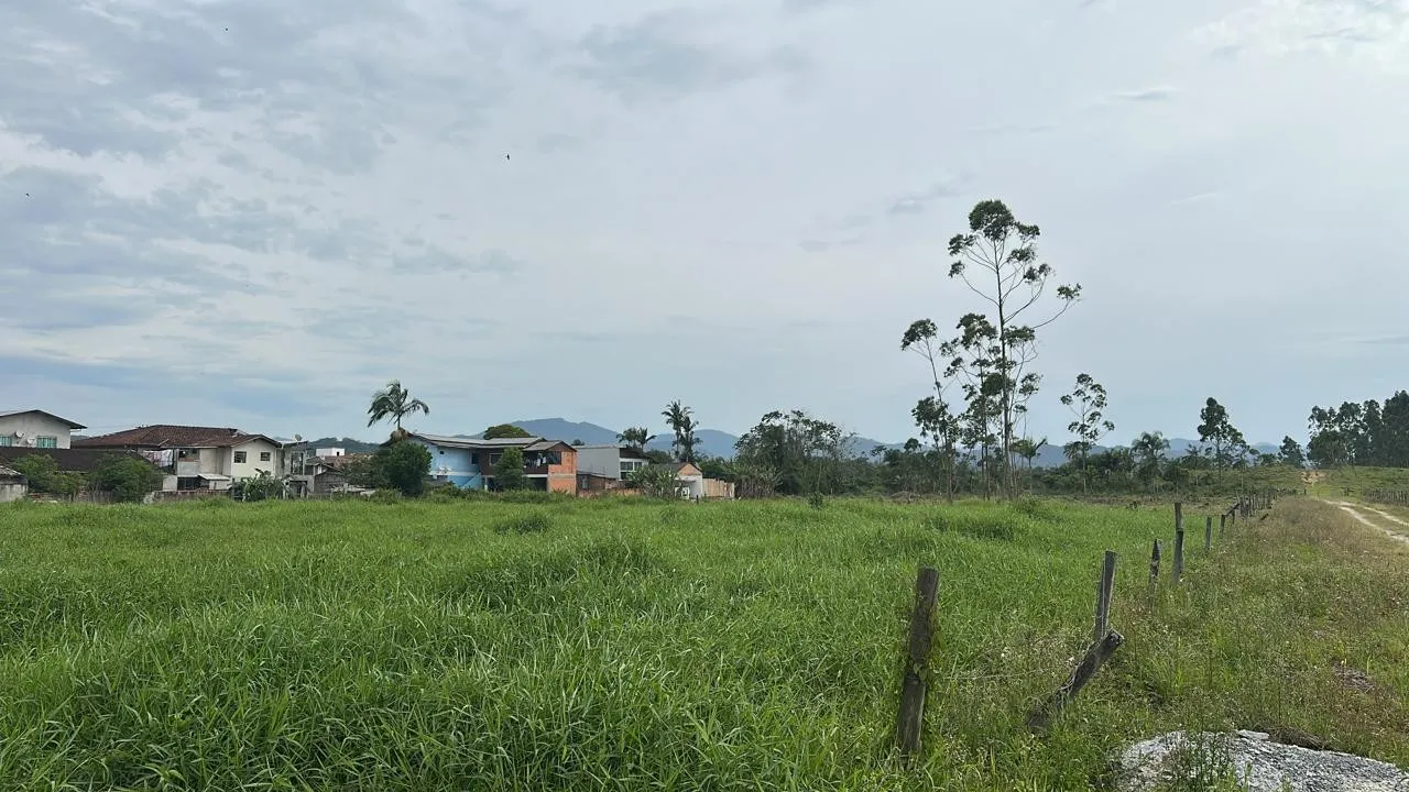 Terreno - 10.493,21 m - Figueira — foto 2