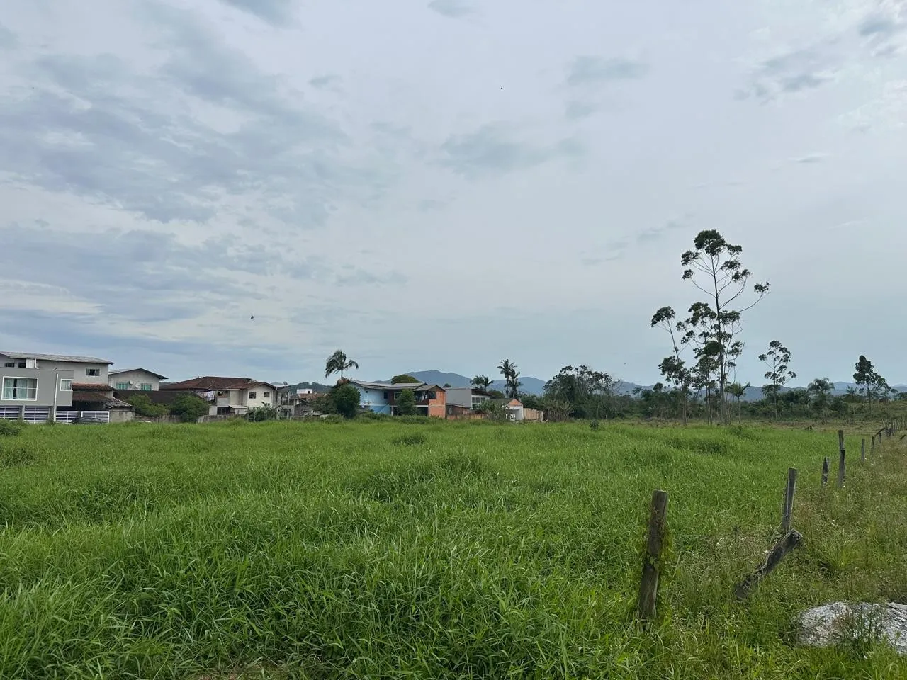 Terreno - 10.493,21 m - Figueira — foto 3