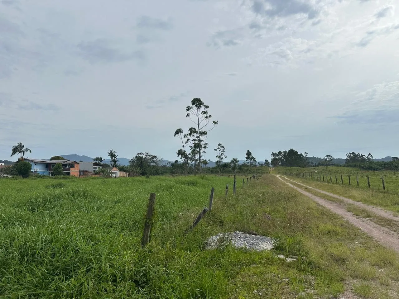Terreno - 10.493,21 m - Figueira — foto 4