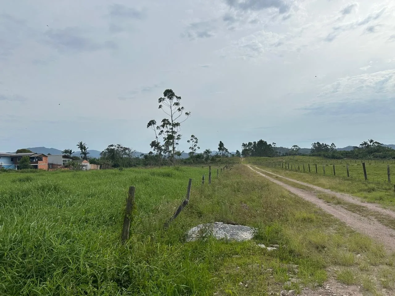 Terreno - 10.493,21 m - Figueira — foto 5