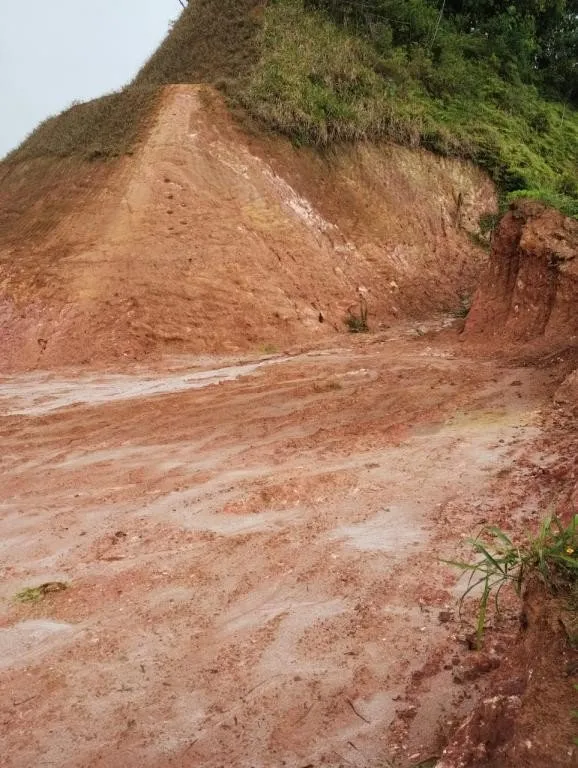 TERRENO no VILA NOVA com 0 quartos para VENDA, 1798 m — foto 2