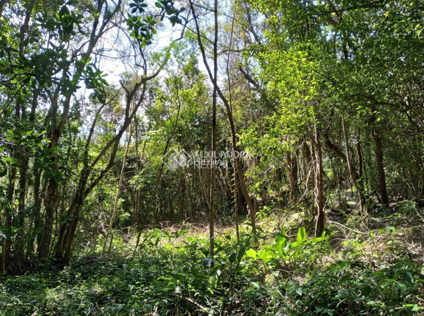 Imóvel — foto 2