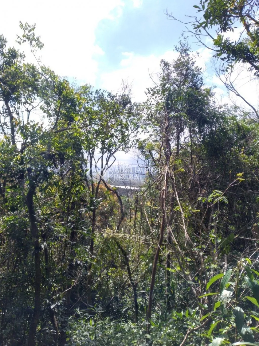 Imóvel — foto 4