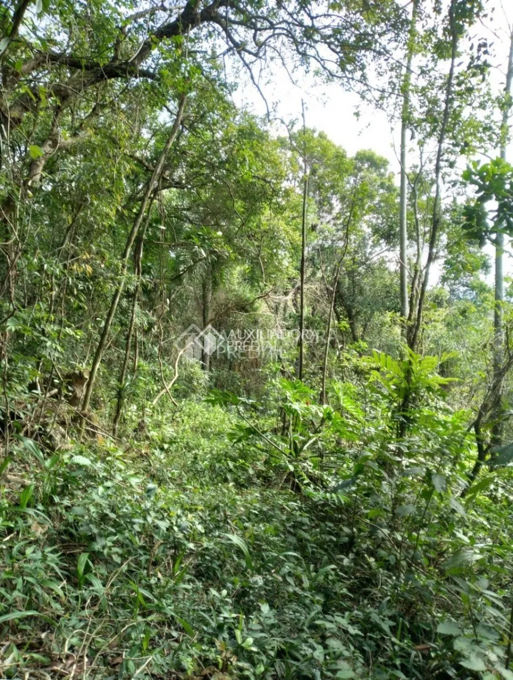 Imóvel — foto 5