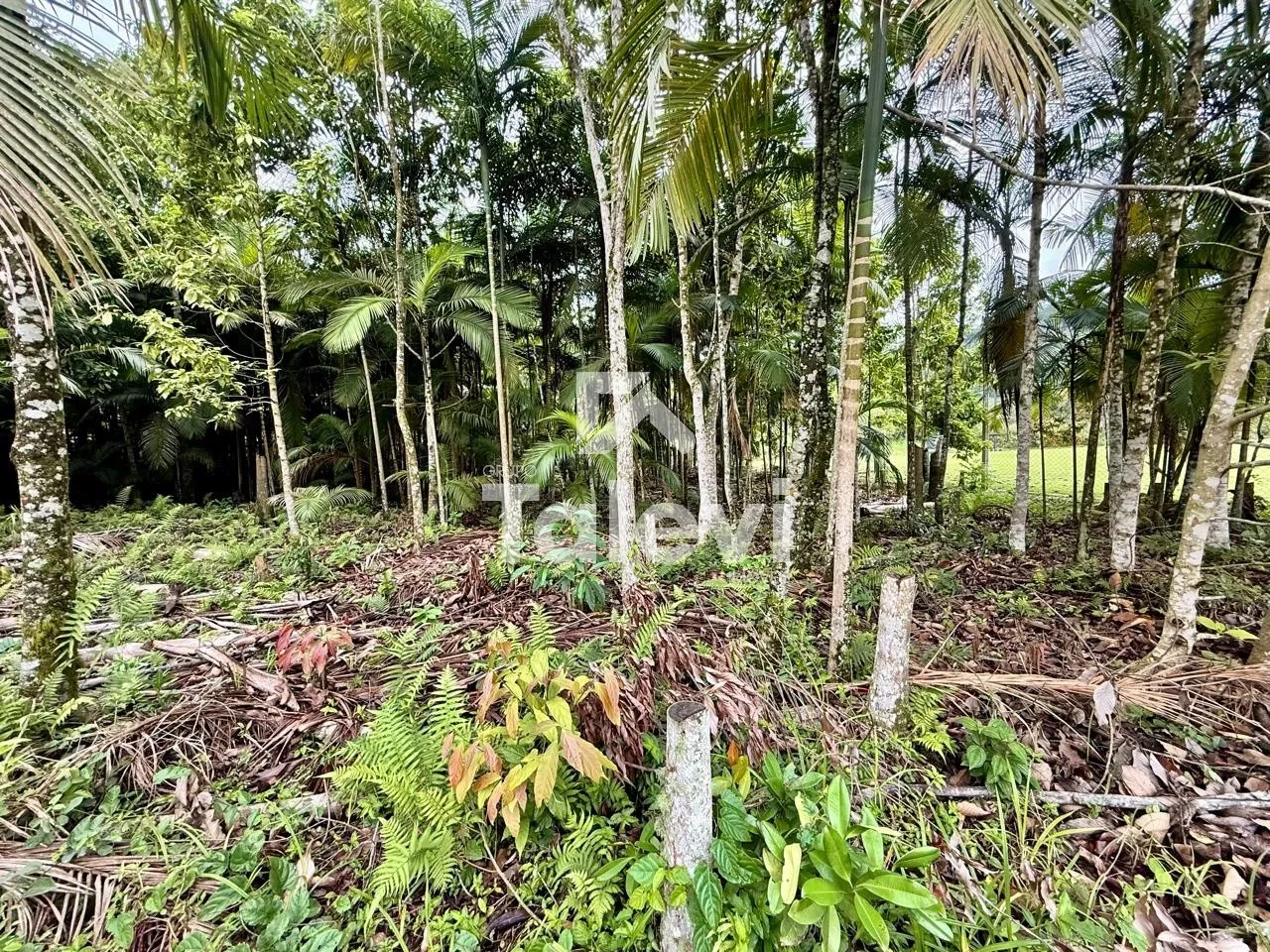 Terreno raro em Testo Alto com viabilidade pronta para até 4 unidades | Construa ou invista com segurança — foto 5