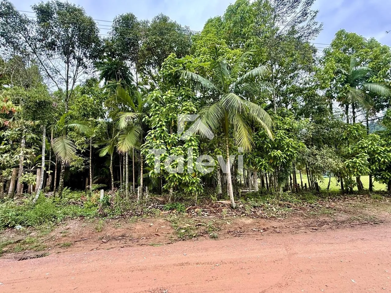 Terreno raro em Testo Alto com viabilidade pronta para até 4 unidades | Construa ou invista com segurança — foto 6