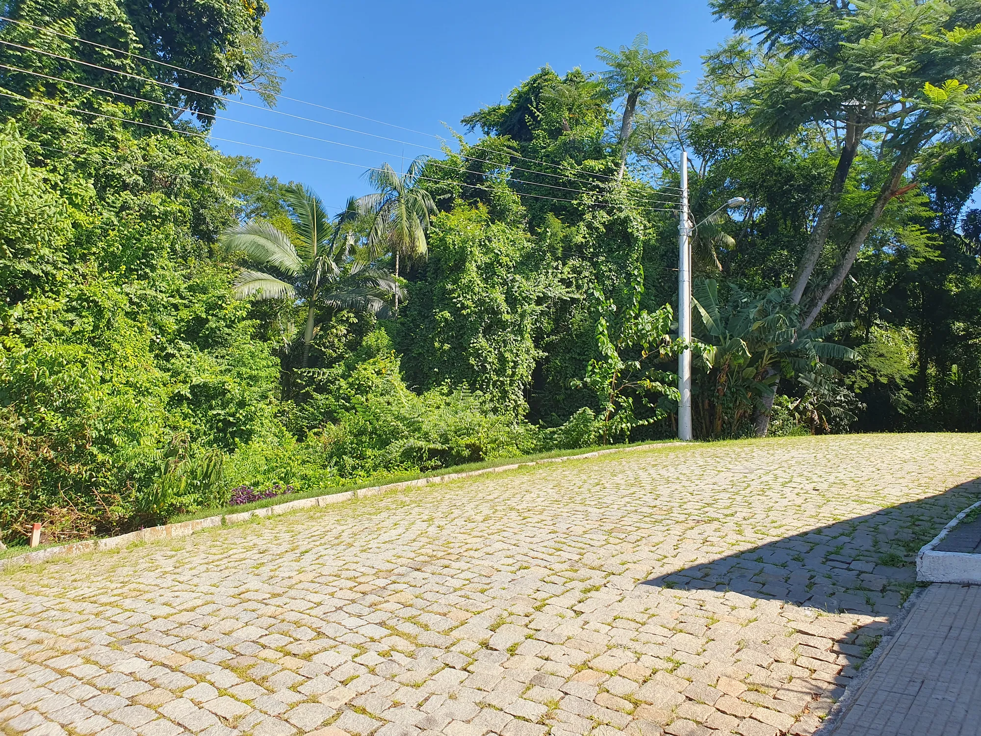 Lote 15b (Parcela 3) na rua Heinz Hartmann — foto 6