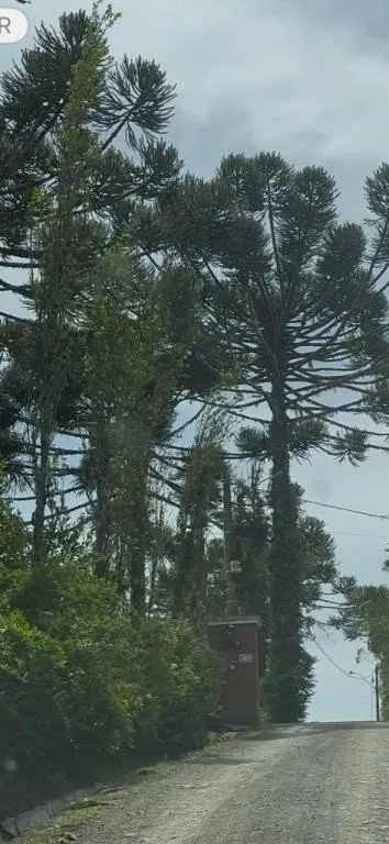 CASA no ESQUINA com 2 quartos para VENDA, 250 m — foto 3