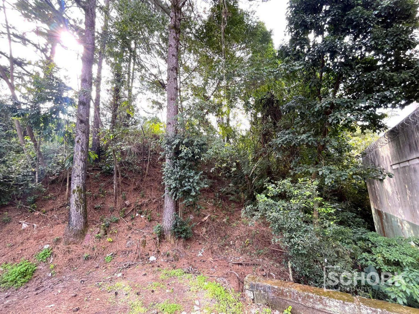Terreno à venda, 480 m por R$ 450.000,00 - Itoupava Norte - Blumenau/SC — foto 2