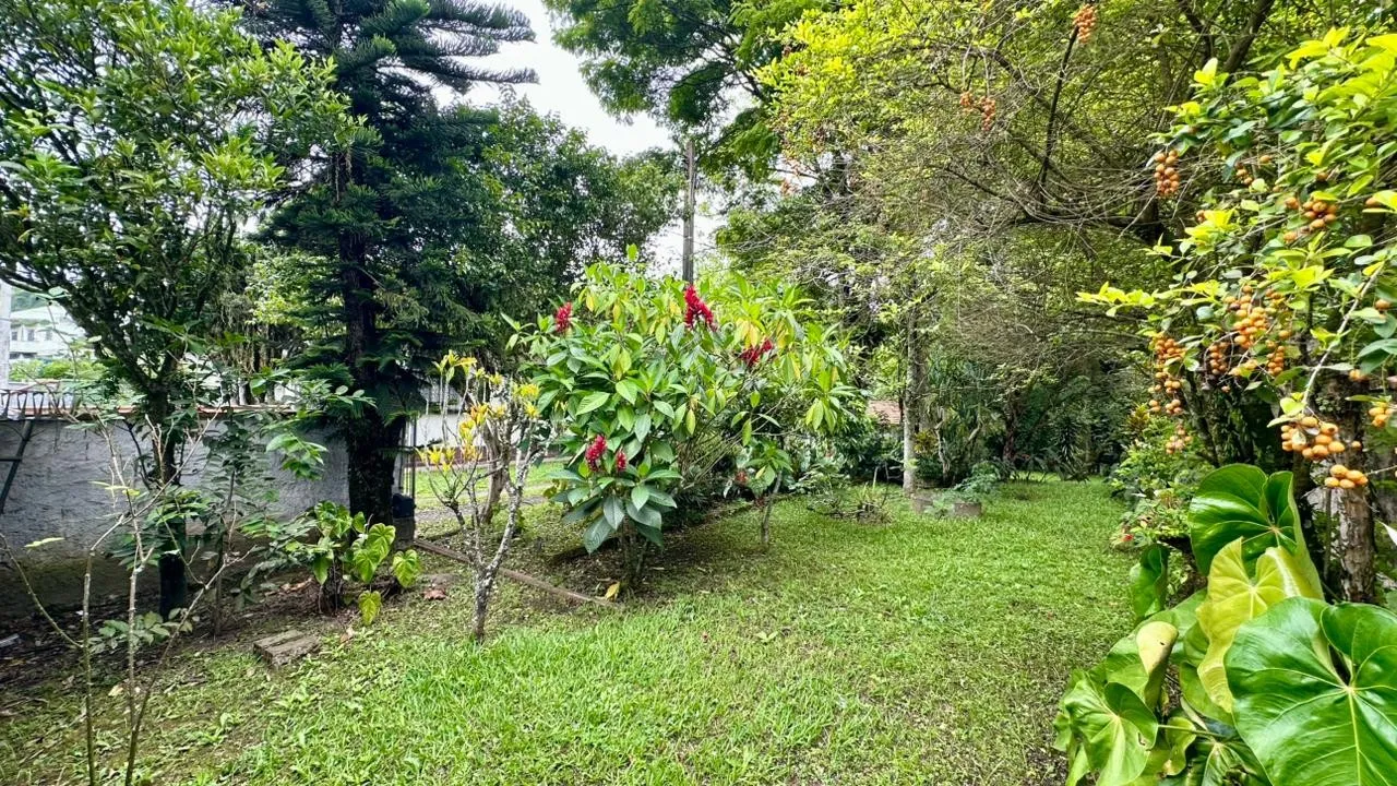 Terreno Comercial e Residencial na Itoupava Norte - Blumenau/SC — foto 4