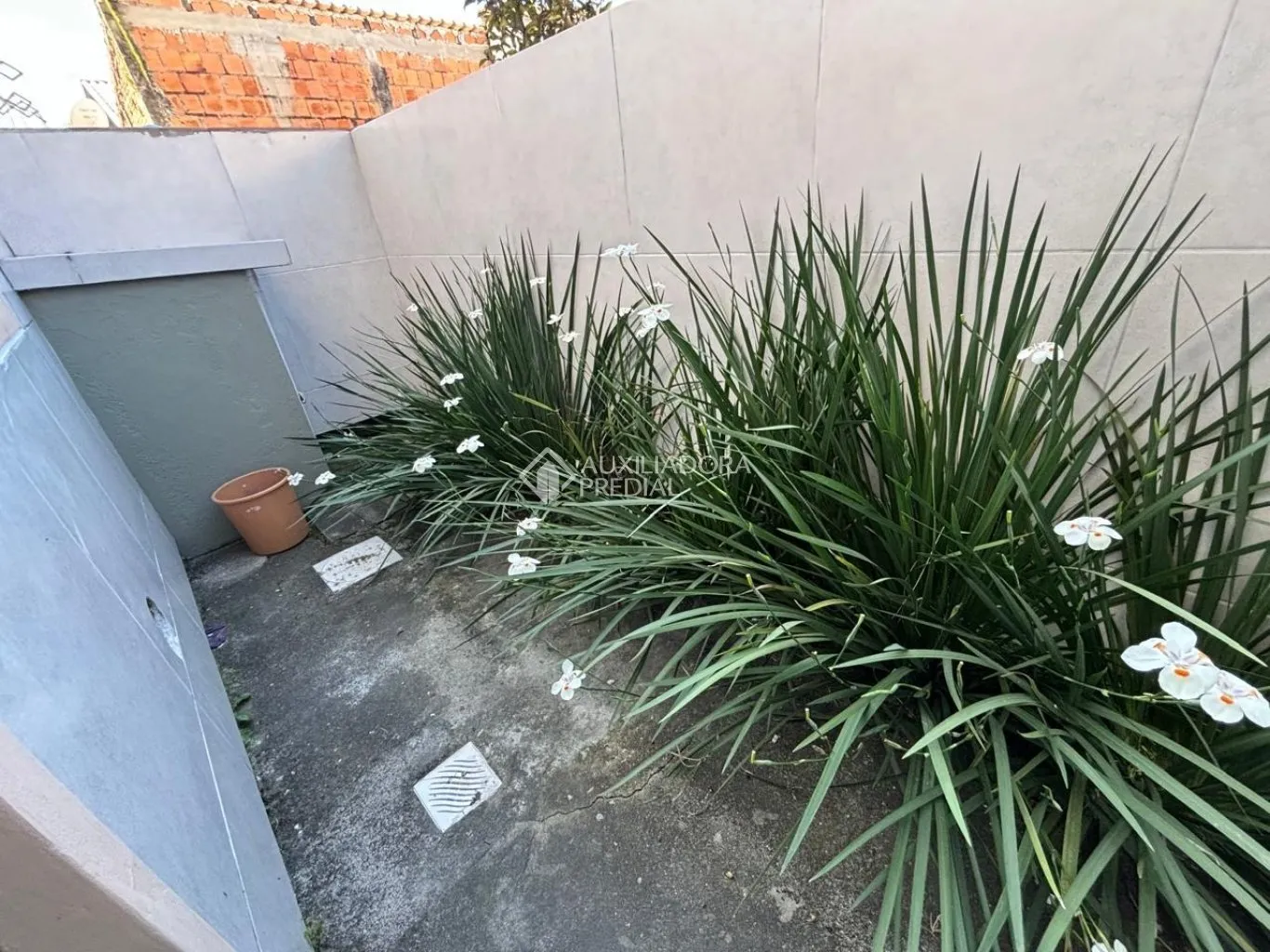 Imóvel — foto 3