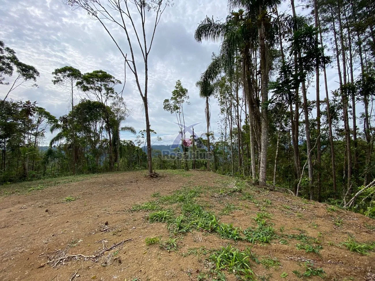 TERRENO RURAL - IBIRAMA - foto 1
