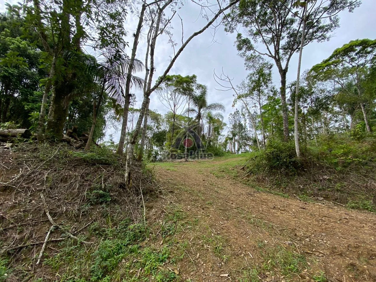 TERRENO RURAL - IBIRAMA — foto 4