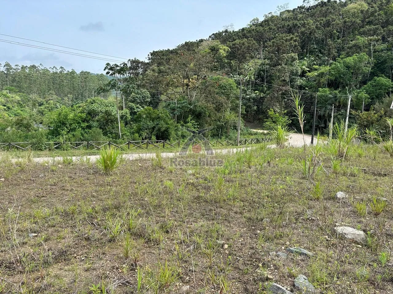 LOTE 04 - PROGRESSO - IBIRAMA — foto 3