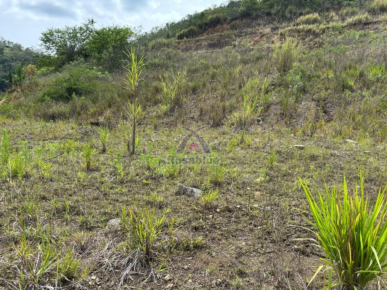LOTE 04 - PROGRESSO - IBIRAMA — foto 6