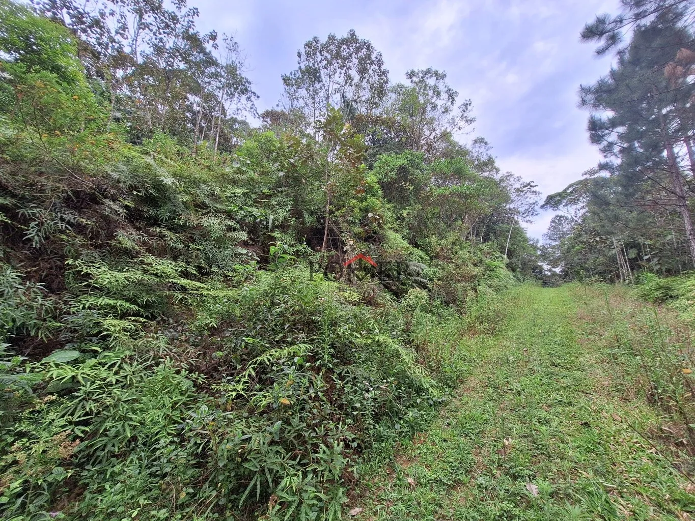 Amplo Terreno/Sítio em Pomerode no Bairro Testo Alto, Rota Enxaimel, com 7.902,29m, sendo 203 metros de frente; - foto 1