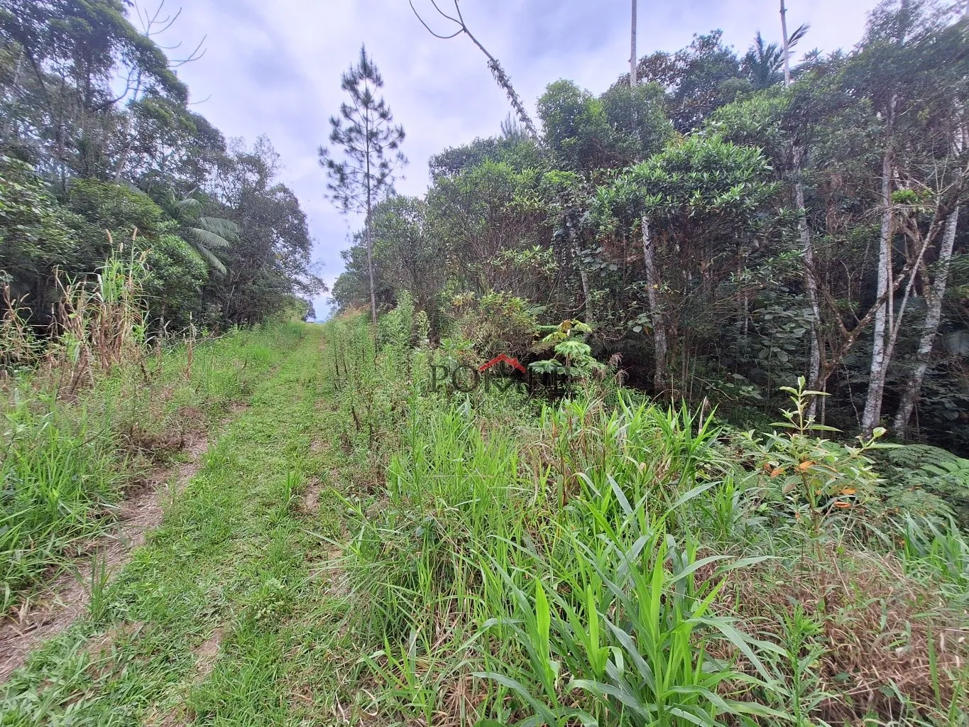 Amplo Terreno/Sítio em Pomerode no Bairro Testo Alto, Rota Enxaimel, com 7.902,29m, sendo 203 metros de frente; — foto 2