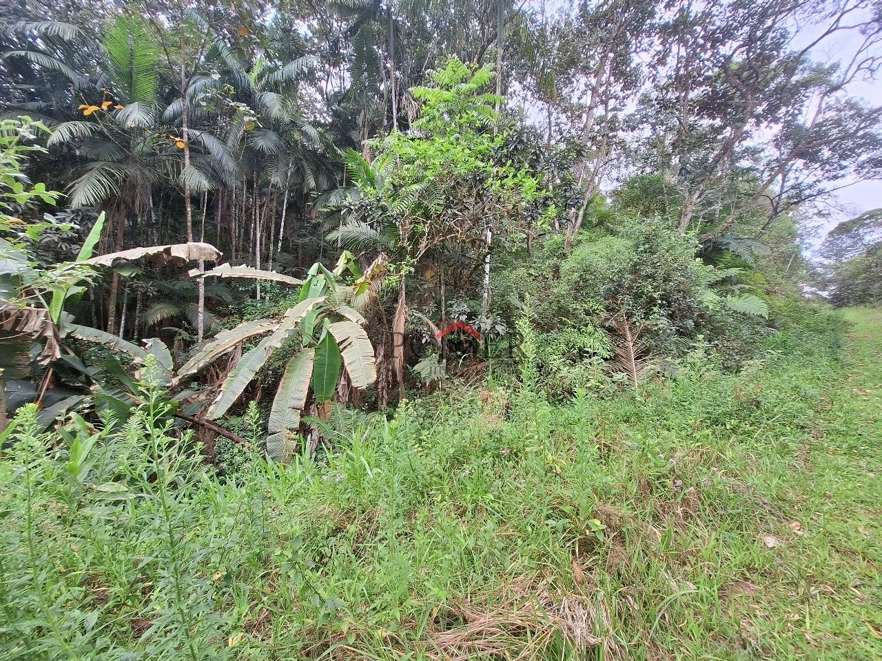 Amplo Terreno/Sítio em Pomerode no Bairro Testo Alto, Rota Enxaimel, com 7.902,29m, sendo 203 metros de frente; — foto 4