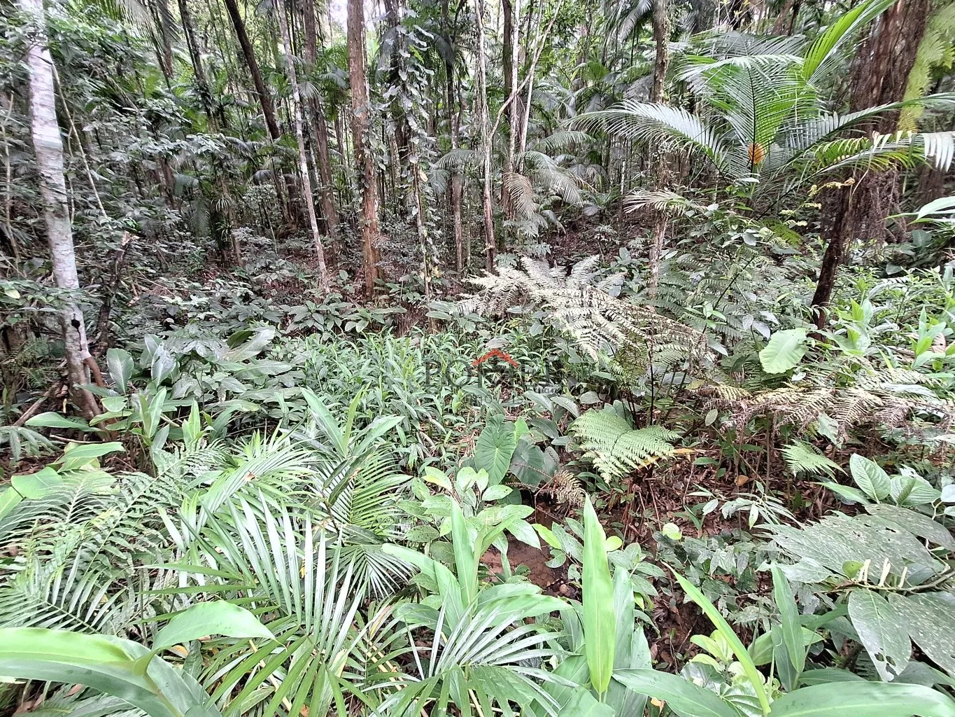 Amplo Terreno/Sítio em Pomerode no Bairro Testo Alto, Rota Enxaimel, com 7.902,29m, sendo 203 metros de frente; — foto 5