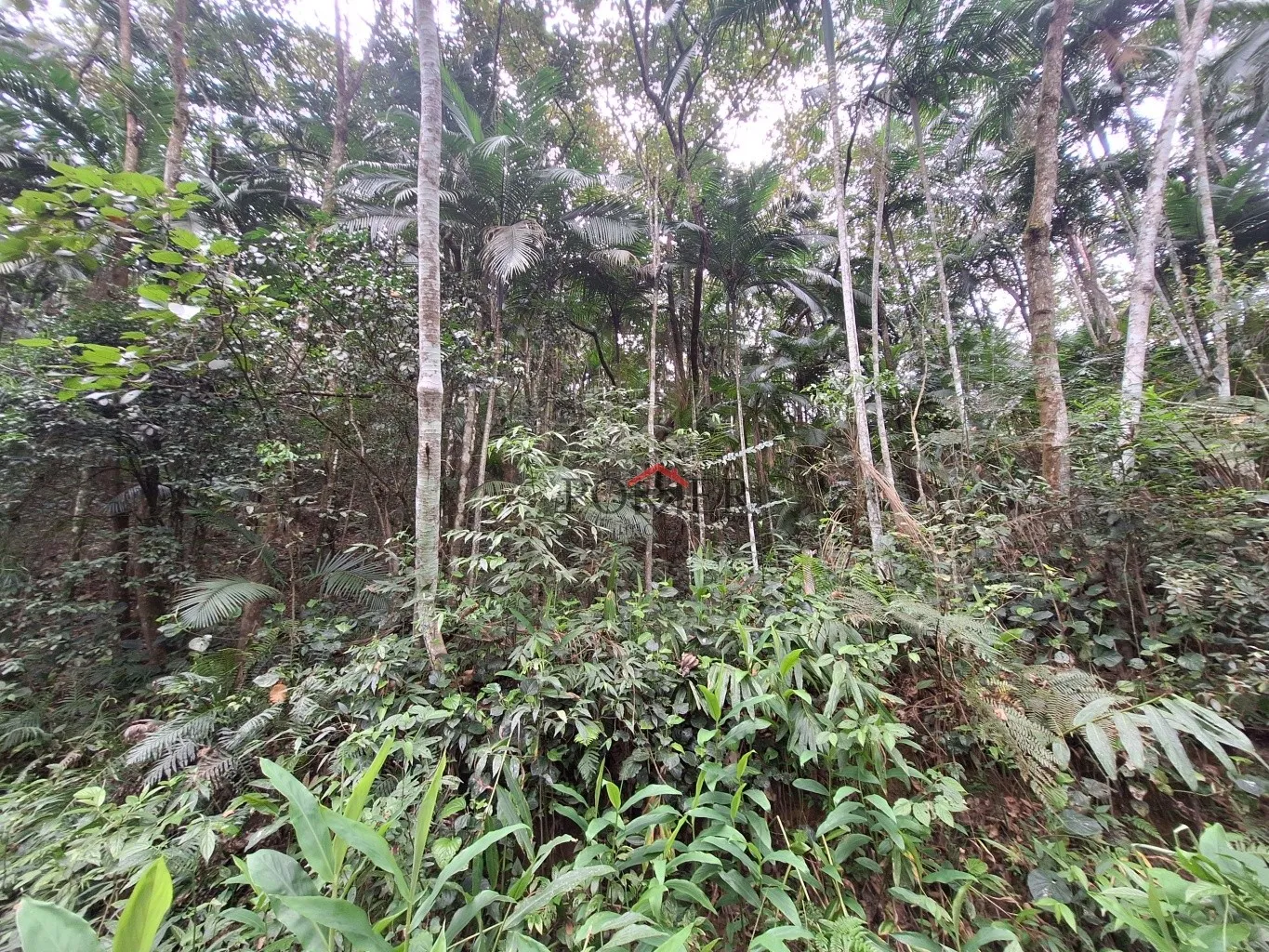 Amplo Terreno/Sítio em Pomerode no Bairro Testo Alto, Rota Enxaimel, com 7.902,29m, sendo 203 metros de frente; — foto 6