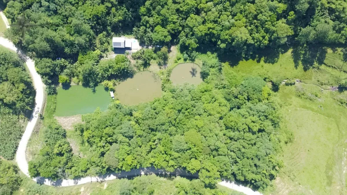 Chacara com 3 Lagoas - foto 1