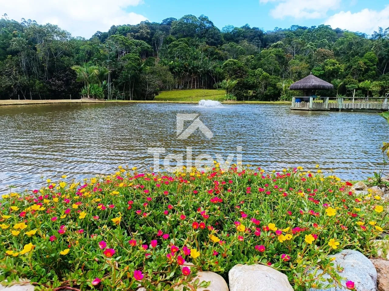 SÍTIO COM LAGOA E VISTA PANORÂMICA EM POMERODE | REFÚGIO EXCLUSIVO JUNTO À NATUREZA — foto 2