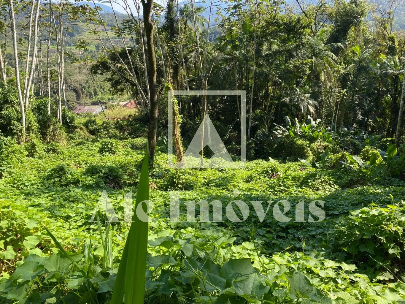 TERRENO POMERODE - foto 1