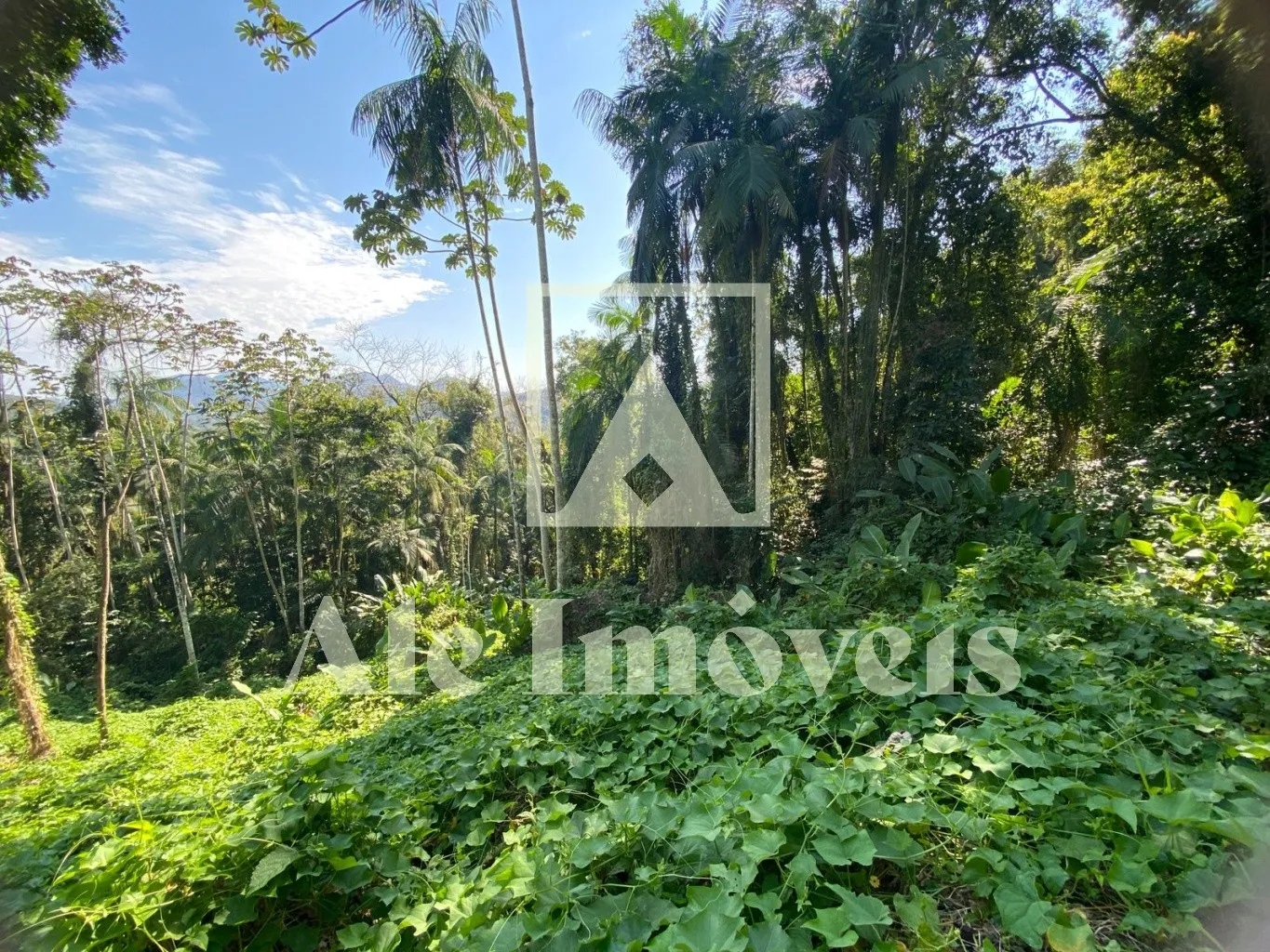 TERRENO POMERODE — foto 2