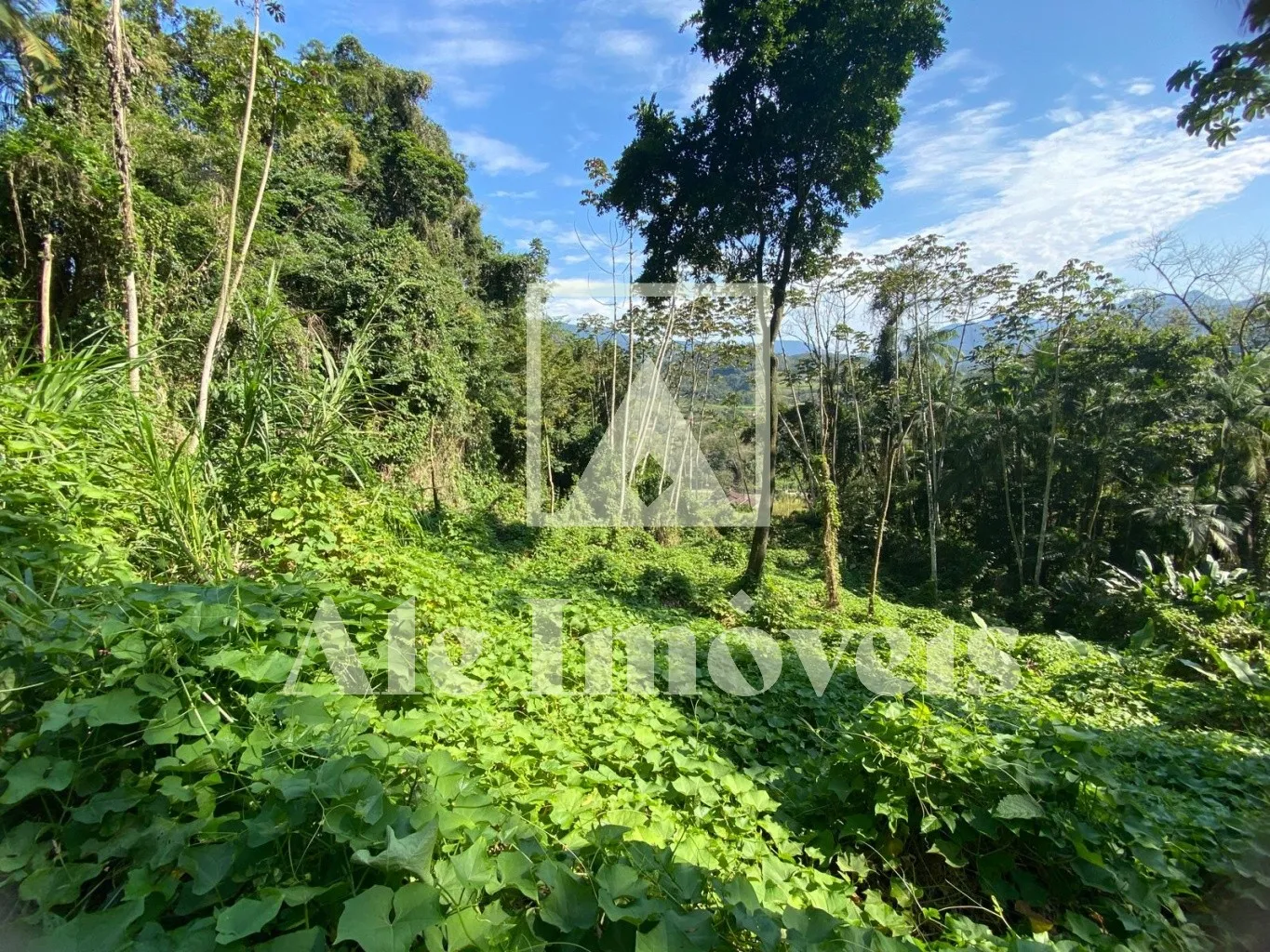 TERRENO POMERODE — foto 3