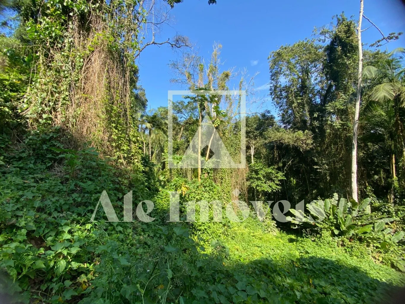 TERRENO POMERODE — foto 4