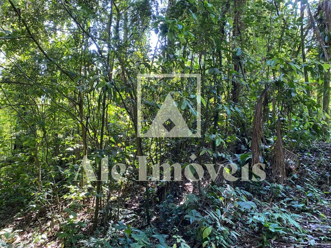 TERRENO POMERODE — foto 5