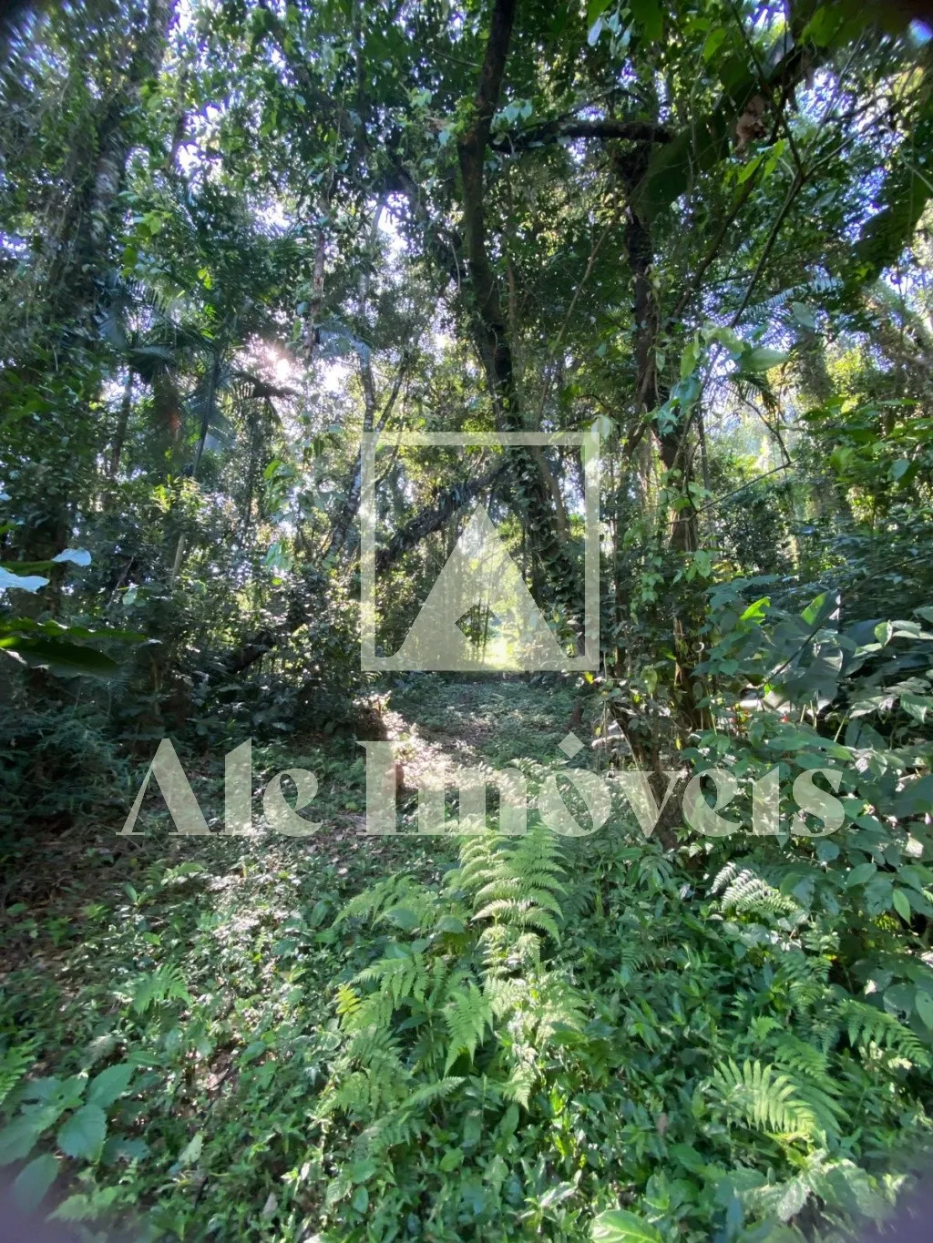 TERRENO POMERODE — foto 6