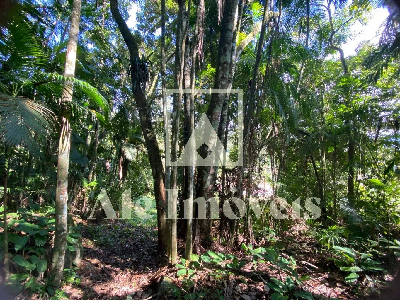 TERRENO POMERODE — foto 7