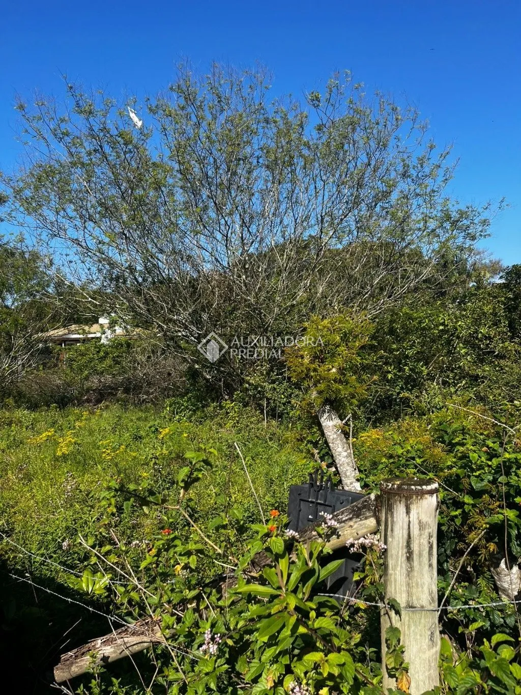 Imóvel — foto 3