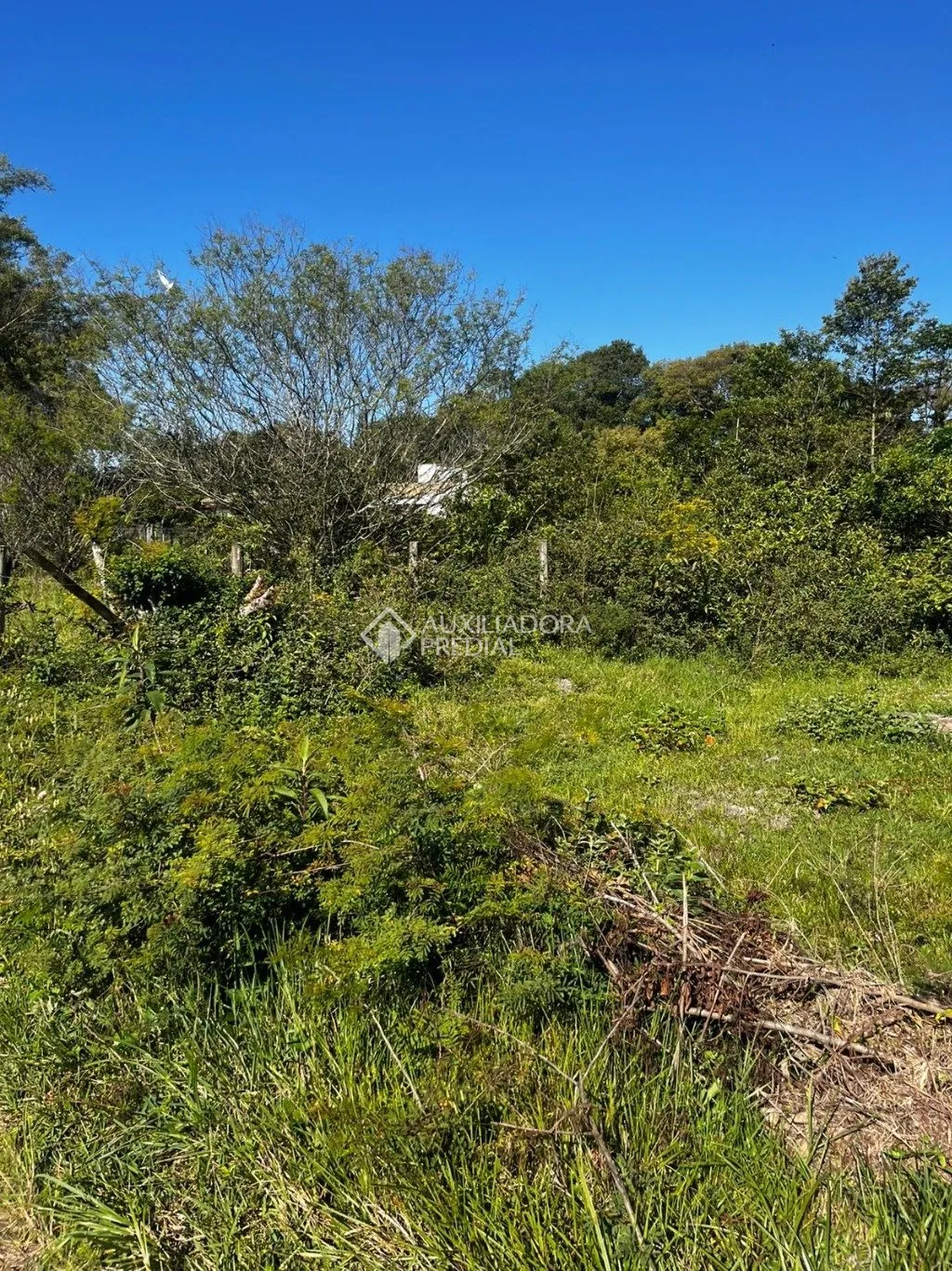 Imóvel — foto 4